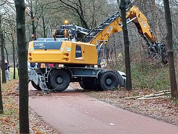 https://provincieutrecht.sp.nl/nieuws/2019/02/de-bomen-in